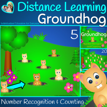 Preview of Groundhog Day Distance Learning Number Recognition and Counting