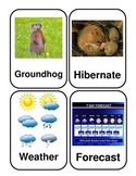 Groundhog Day Flashcards *Real Photos!