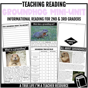 Preview of Groundhog Day Informational Reading Mini-Unit