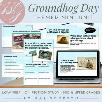 Preview of Groundhog Day Mini Unit | Low Prep Reading Comprehension | Bonus Stickers