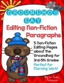 Groundhog Day Non-Fiction Editing/Proofreading Practice Pa