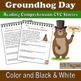 Groundhog Day Reading Comprehension: CVC Stories and Questions