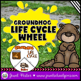 Groundhog Day Science Activities | Animal Life Cycle of a 