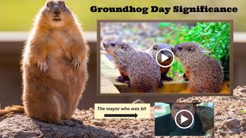 Preview of Groundhog Day & Science-NO PREP-20 GOOGLE SLIDES with WORKSHEET!