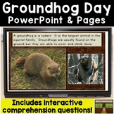 Groundhog Day & Shadows PowerPoint with Interactive Quiz &