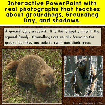 Groundhog Day PowerPoint & Printable Pages Groundhogs Shadows Activities