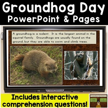 Preview of Groundhog Day PowerPoint & Printable Comprehension Pages Groundhogs Shadows