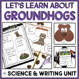 Groundhog Day Science Writing And Craft Activity Kindergar