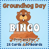 FREE GROUNDHOG DAY BINGO & Memory Matching Vocabulary Card Game