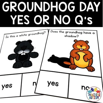 Preview of Groundhog Day Activities Special Education Yes or No Questions