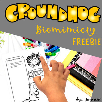 Preview of Groundhog Freebie | Biomimicry Design Compatible with NGSS