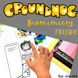 Groundhog Freebie | Biomimicry Design Compatible with NGSS