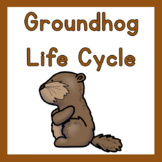 Groundhog Life Cycle