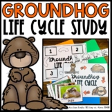 Groundhog Life Cycle | Centers, Activities and Worksheets 