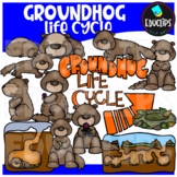 Groundhog Life Cycle Clipart Set {Educlips Clipart}