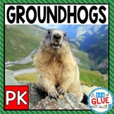 Groundhog Science Unit for Pre-K | Winter Animal Craft | G