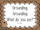 Groundhog--What do you see? Explanation of what happens on