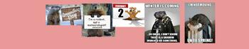 Preview of Groundhog's Day Google Classroom Banner/Header