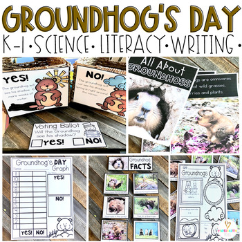Preview of Groundhog's Day Groundhog Facts and Activities Preschool Kindergarten