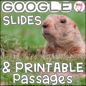 Preview of Groundhogs NONFICTION GOOGLE SLIDES and PRINTABLE Passages and Activities