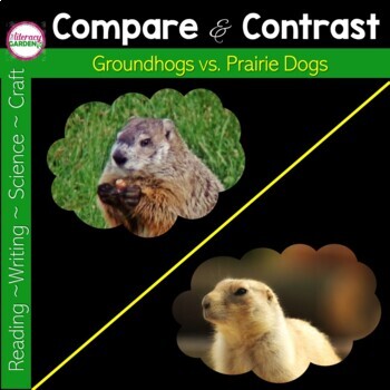 is a groundhog and prairie dog the same