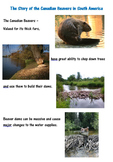 Group Activity - Tale of Canadian Beavers in South America