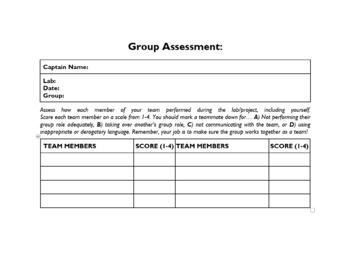 Preview of Group Role Assessment
