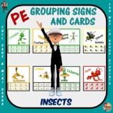 PE Grouping Signs and Cards: Insects