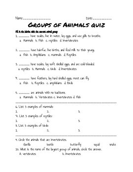 Vertebrates And Invertebrates Quiz Teaching Resources | TPT