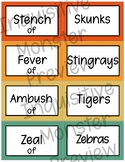 Groupings of Animals Game