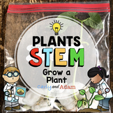 Grow A Plant STEM Activity