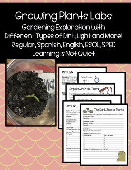 Preview of Grow Plants, 3 Separate Lab Experiments Photosynthesis (English, Spanish, SPED)