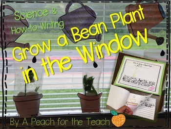Preview of Grow a Bean in a Bag: Science & How-To Writing