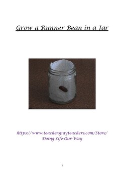 Preview of Grow a Runner Bean in a Jar