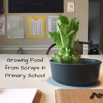 Preview of Growing Food From Scraps in Primary School