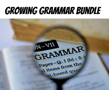 Preview of Growing Grammar Bundle (More than 25 Products, includes special offer*)