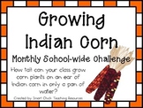 Growing Indian Corn ~ Monthly School-wide Science Challeng
