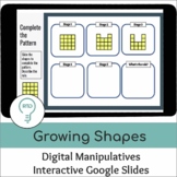 Growing Patterns  | Interactive Digital Visual Models