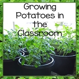 Growing Potatoes in the Classroom