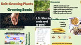 Growing Seeds Lesson Plan and Worksheet ppt