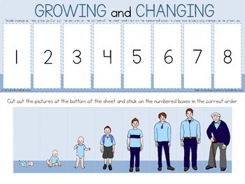 Growing and changing sequencing activity worksheet by Little Blue Orange