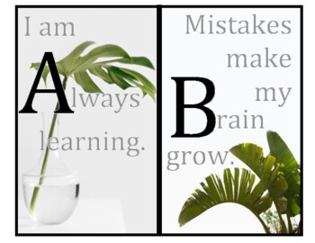 Preview of Growth Mindset ABCs