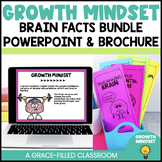 Growth Mindset Brain Facts BUNDLE