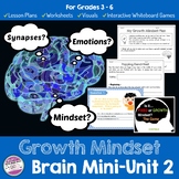 Growth Mindset Brain Unit 2 Lesson Plans