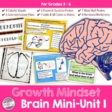 Growth Mindset Brain Unit Lesson Plans