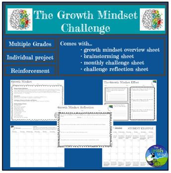 Preview of Growth Mindset Affect + Challenge: Project - Application & Reinforcement