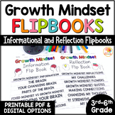Growth Mindset Activities: Informational and Reflection Fl