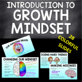 Growth Mindset Introduction - Google Slideshow Presentation 