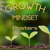 Growth Mindset Posters (10)  for High School Classroom Decor