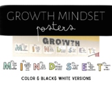 Growth Mindset Posters-Classroom Decor-Positive Affirmatio